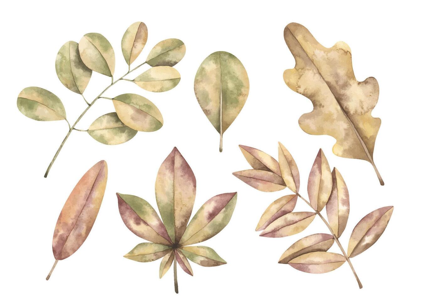 Back to school. Watercolor hand-drawn clip art with .autumn leaves. Cute school elements for kids vector
