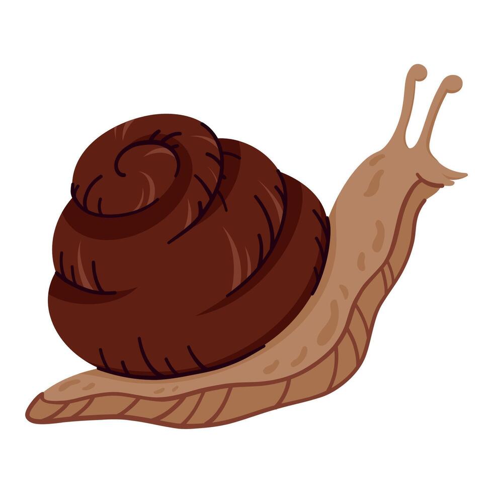 Cute Brown Garden Snail with Spiral Shell and Tentacles Crawling. Cartoon Wild Mollusk Isolated on White Background. Adorable Slow Creature for Nature or Animal Designs vector