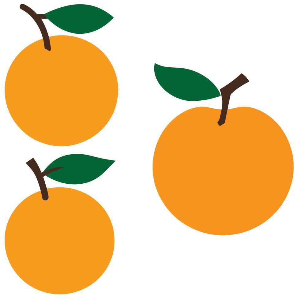 Simple and clean flat style illustration of whole oranges with green leaves ideal for food and art themes vector