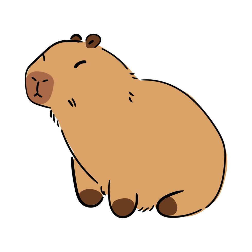 Cute capybara sitting. Animal with brown fur, paws and funny face, lazy fat capibara waiting for food, front portrait of wild capybara pet from tropical rainforest cartoon illustration vector