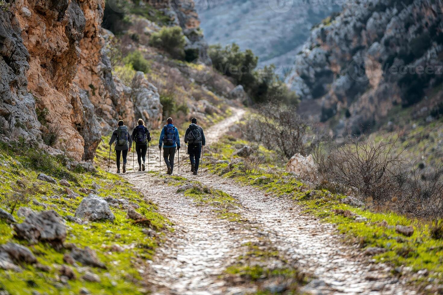 Hikers on a mountain trail enjoying the scenic view photo
