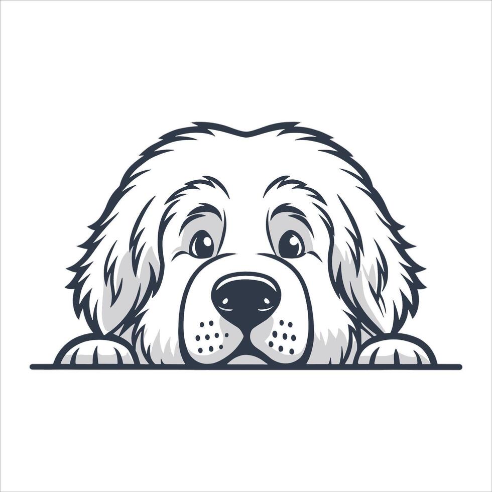 Peeking Newfoundland Dog vector