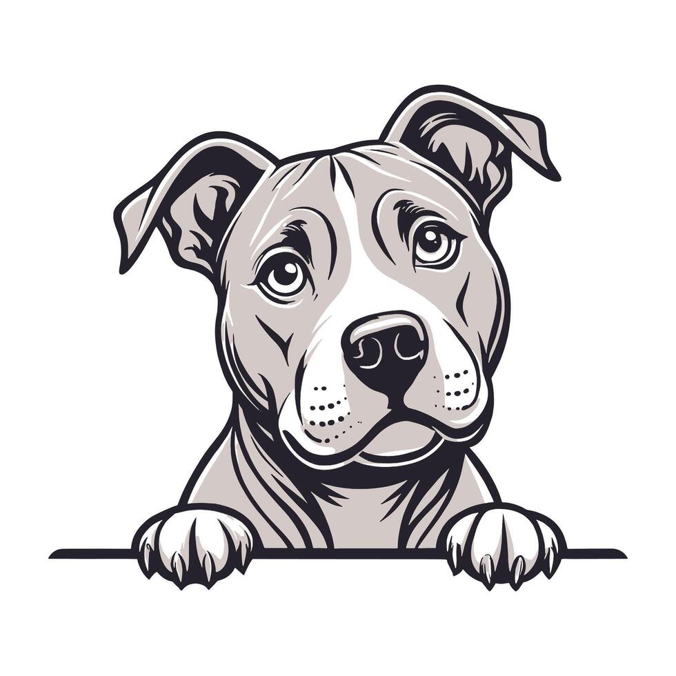 Peeking American Staffordshire Terrier Dog vector
