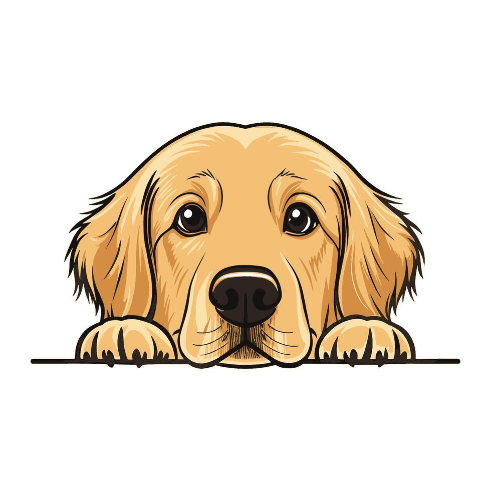 Peeking Golden Retriever Dog vector