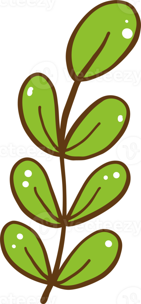 Cute Green Leaves Decorative Hand Drawn png