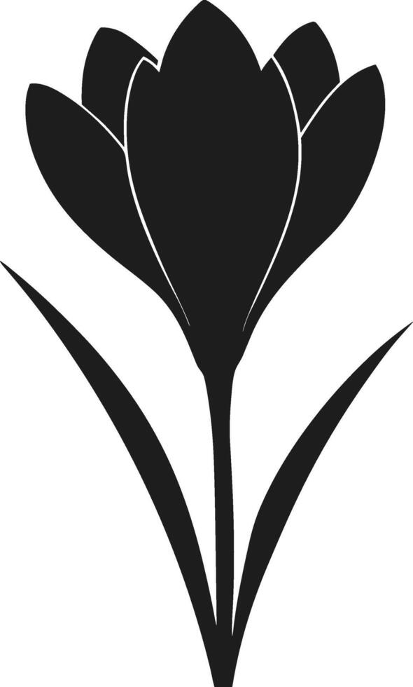 Elegant Crocus Flower Silhouette - Botanical Illustration for Spring and Floral Designs vector