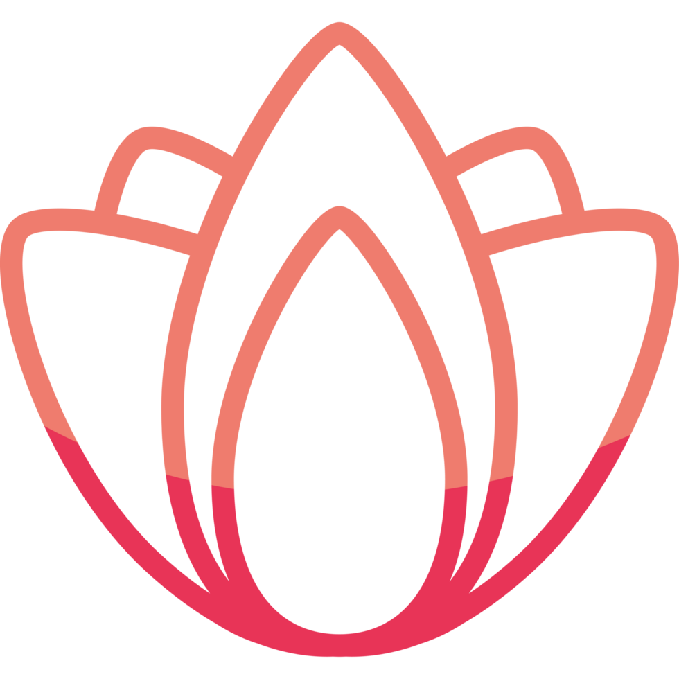 dosha pitta ayurvedic png