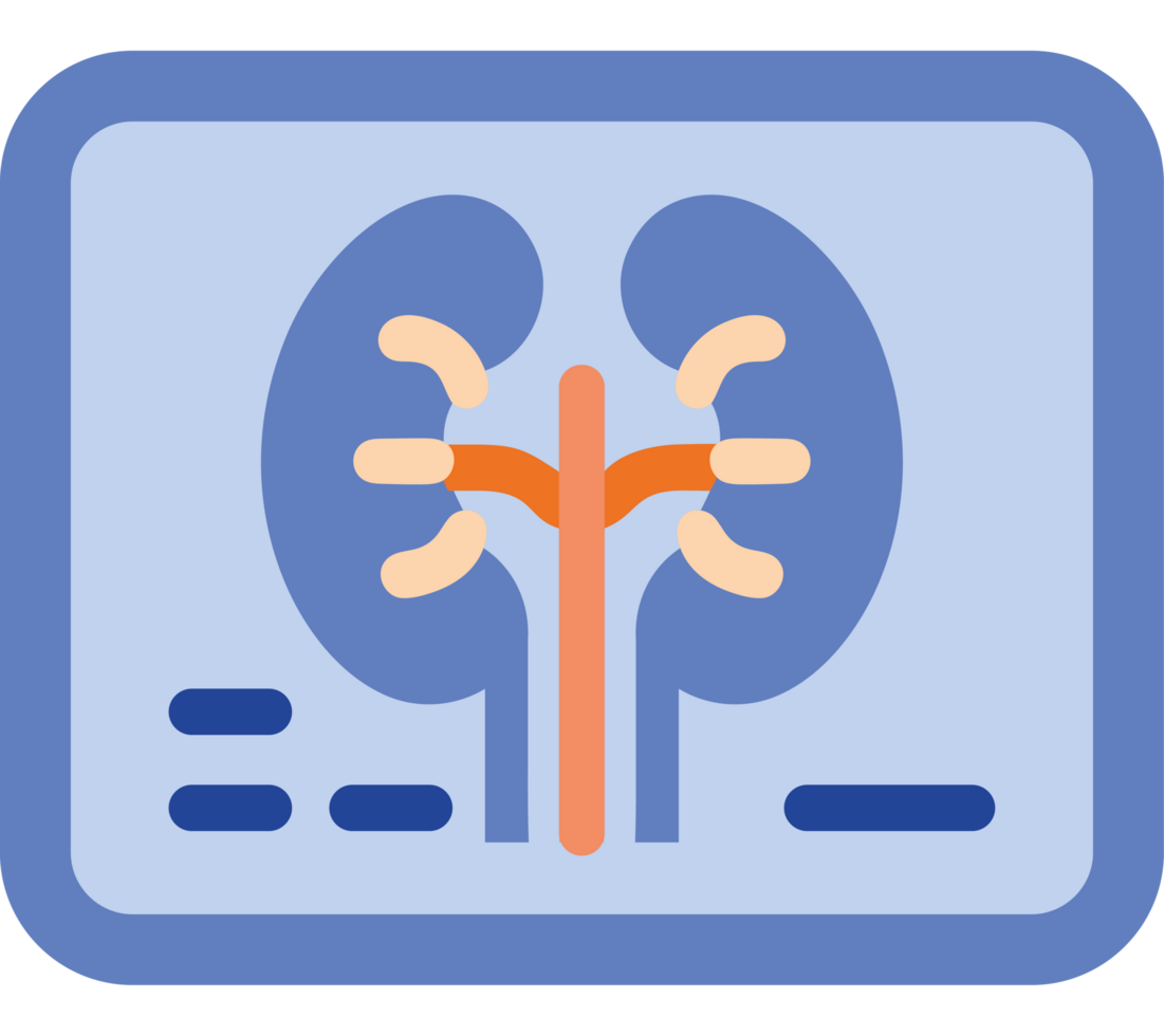 Kidney disease X ray icon png