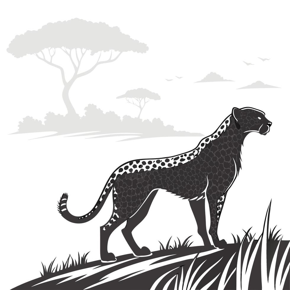 Black And White Cheetah On Savannah vector