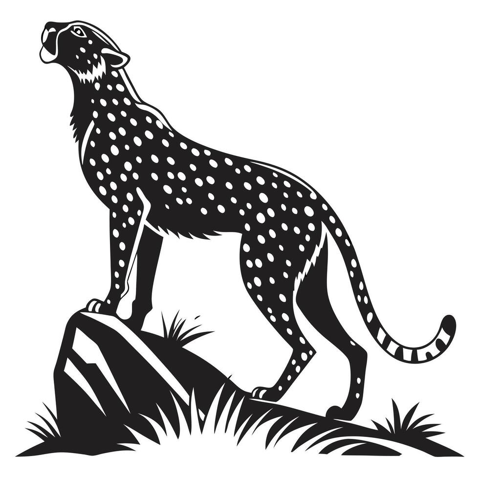 Black And White Cheetah On Rocks vector