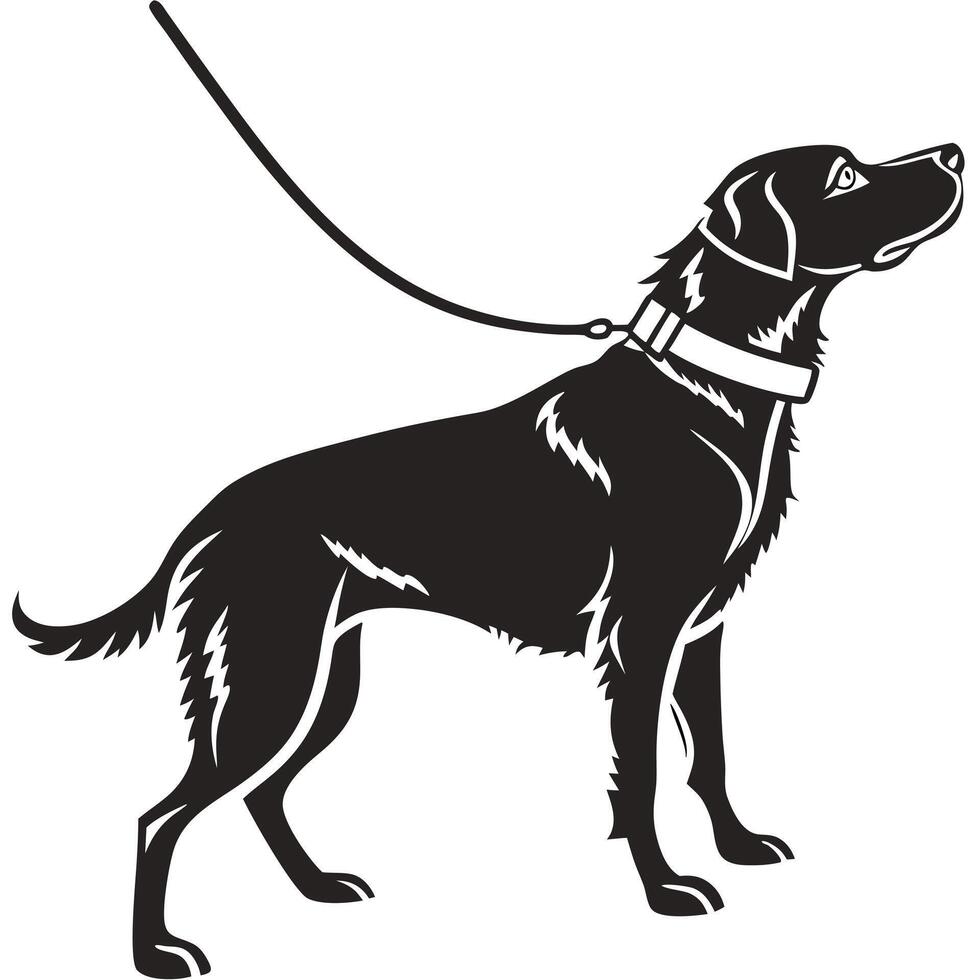 Black Labrador Retriever Silhouette On Leash vector