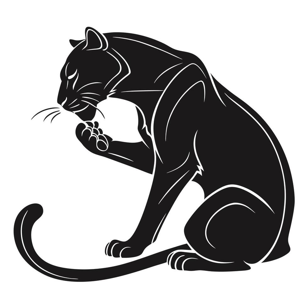 Black Panther Licking Paw Illustration vector