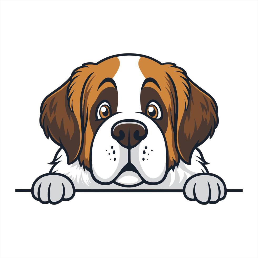 Peeking St. Bernard Dog vector
