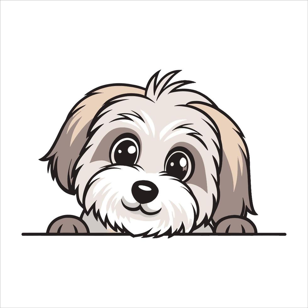 Peeking Havanese Dog vector