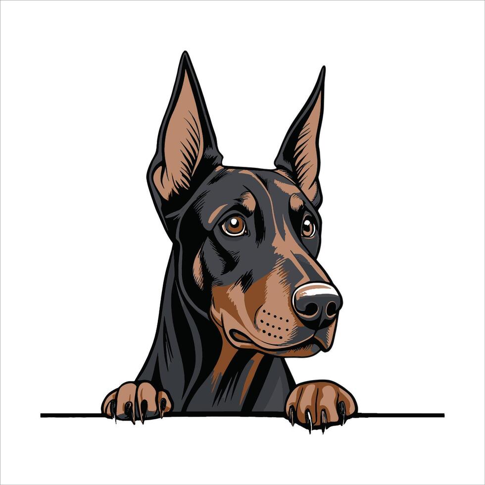 Peeking Dobermann Dog Vectors