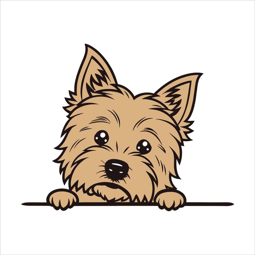 Peeking Cairn Terrier Dog Vectors