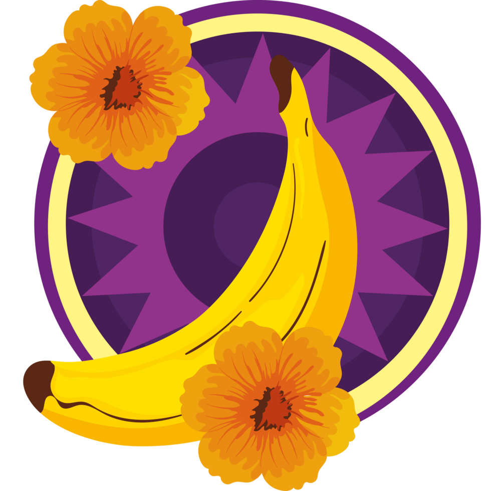 mandala and banana png