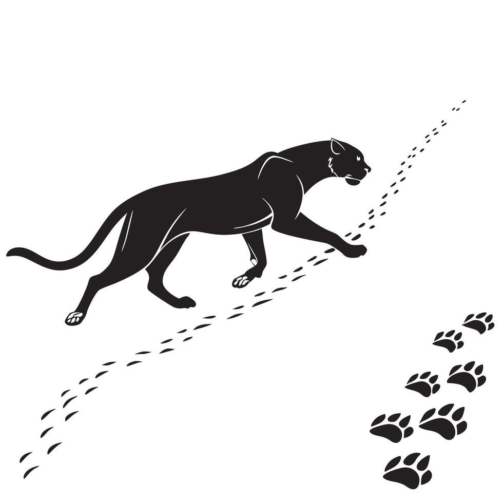 Black Panther Tracking Silhouette Image vector