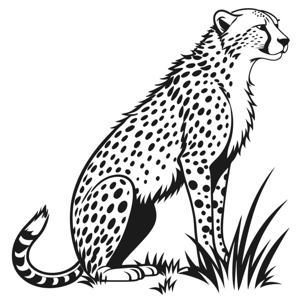 Cheetah Illustration Sitting In Grass vector