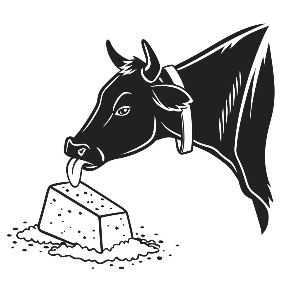 Cow Licking A Salt Block Illustration vector