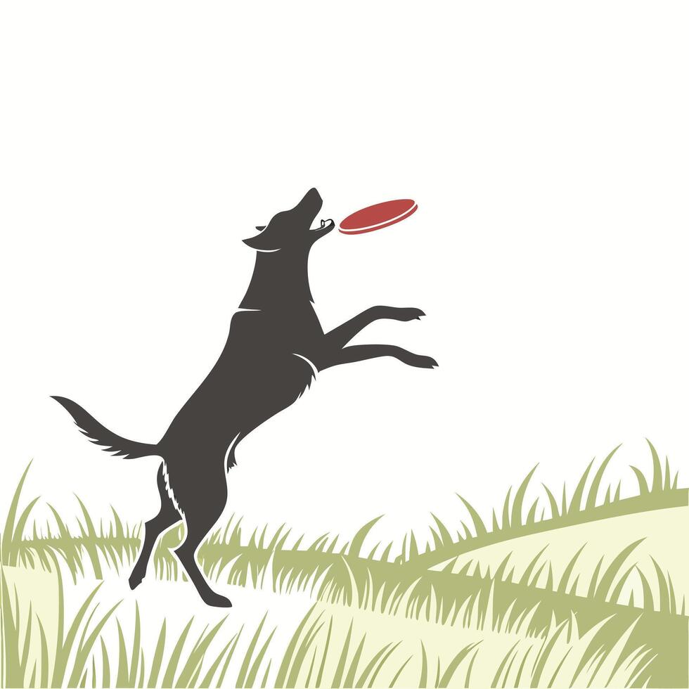 Dog Catches Frisbee In A Field vector