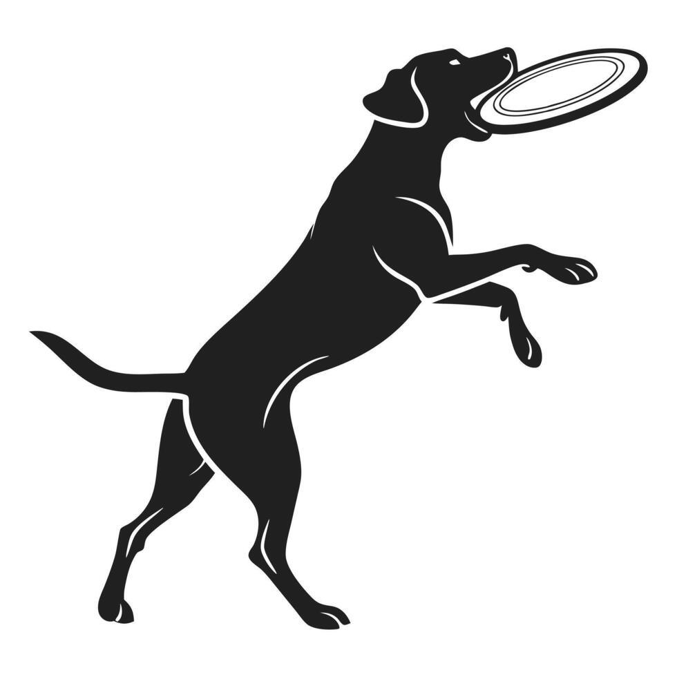 Dog Catching Frisbee Illustration vector