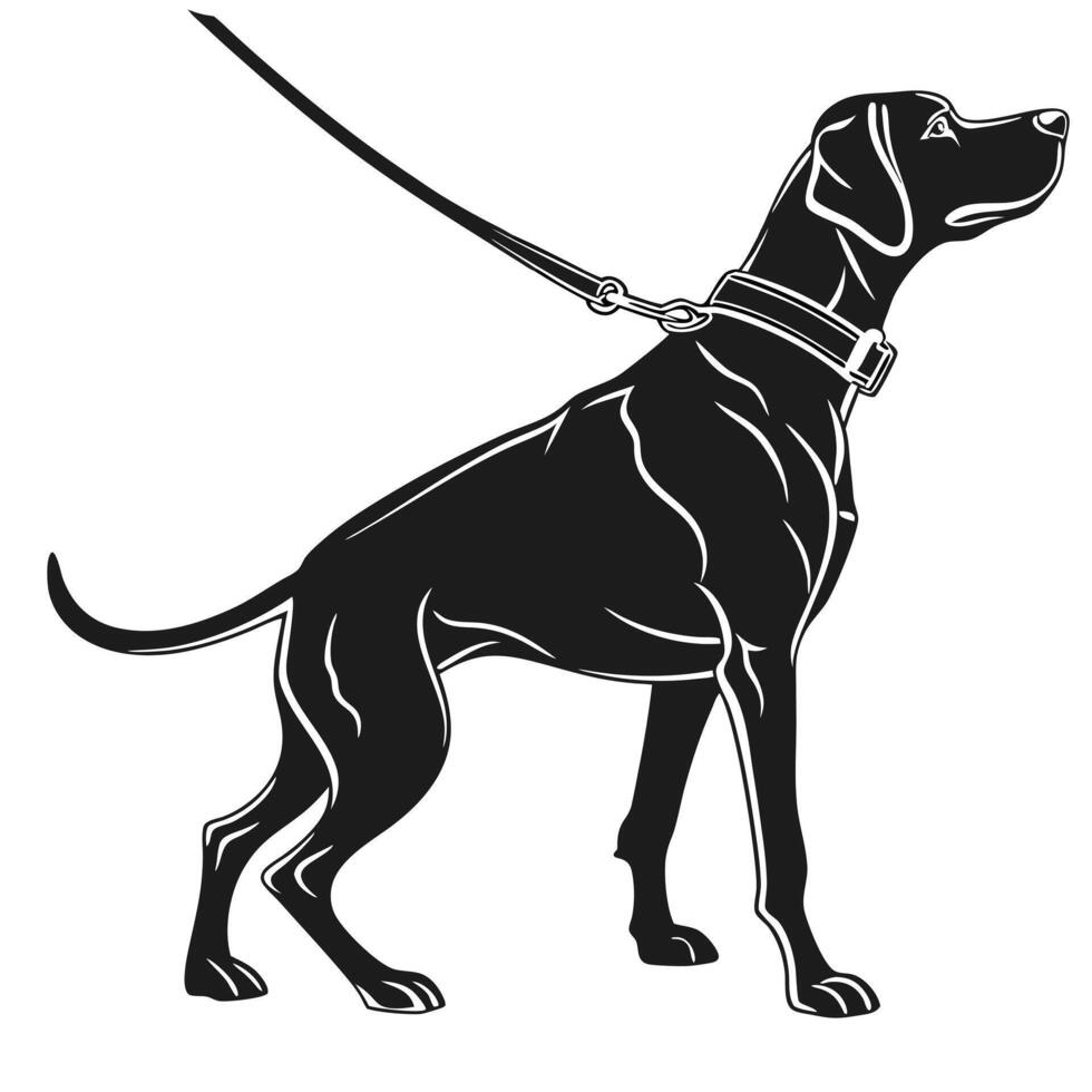 Dog Silhouette With Leash On White vector