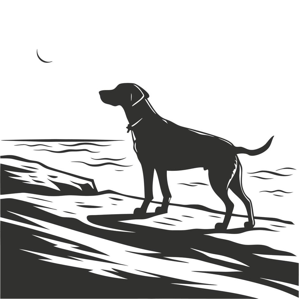 Dog Silhouette Standing Seaside At Night vector