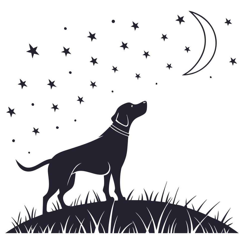 Dog Gazing At Stars And Moon vector