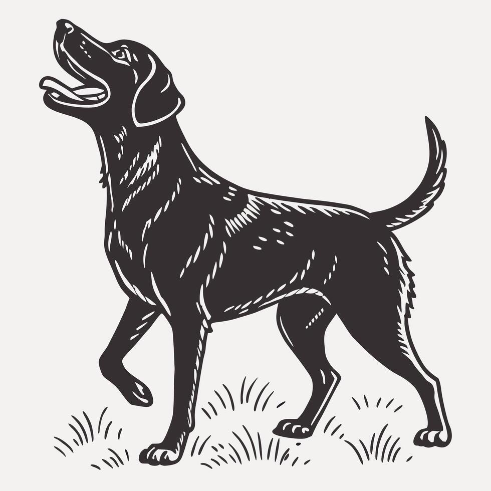 Elegant Dog Graphic Illustration Style vector
