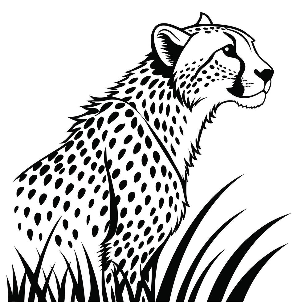 Elegant Cheetah Black And White vector