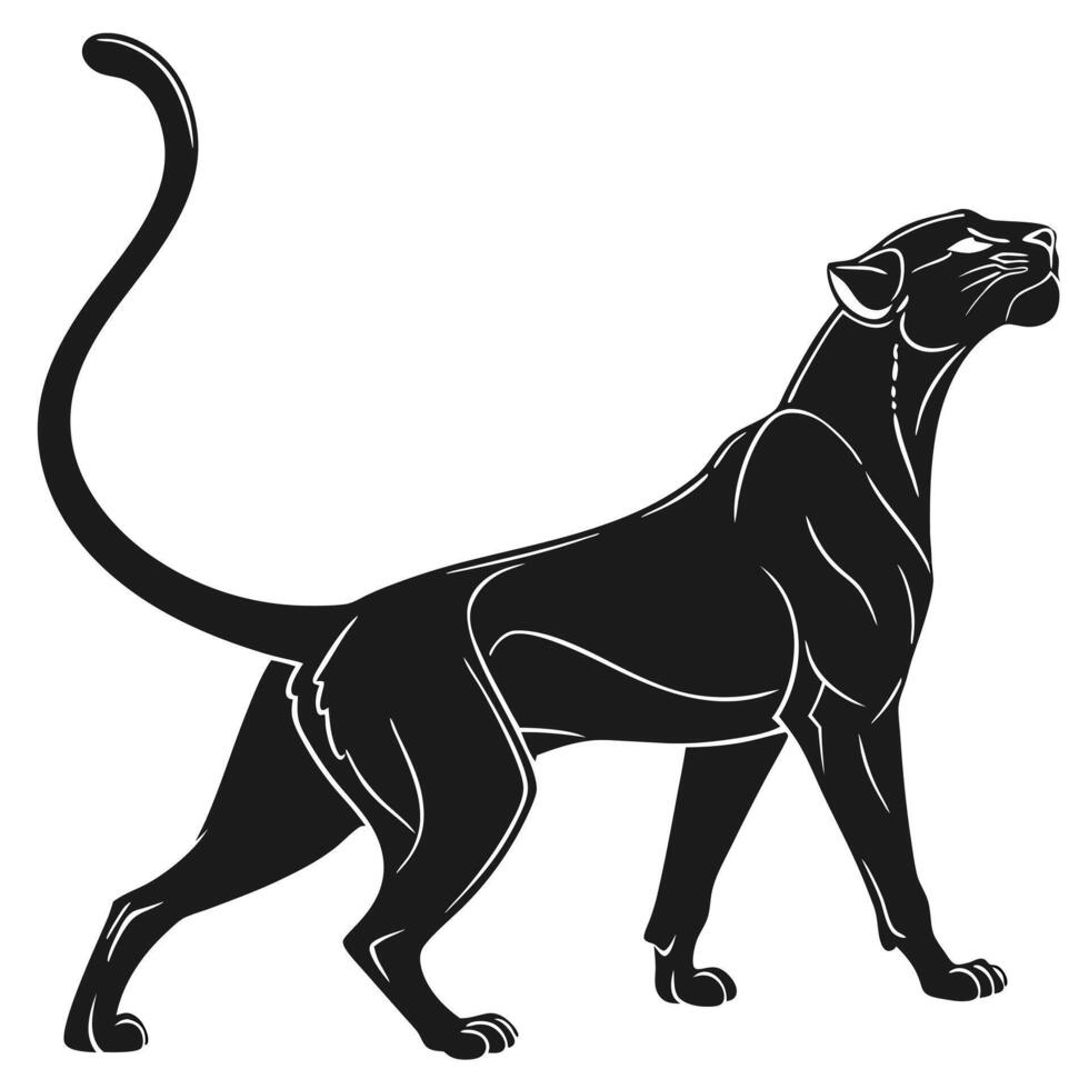 Elegant Black Panther Illustration Isolated vector