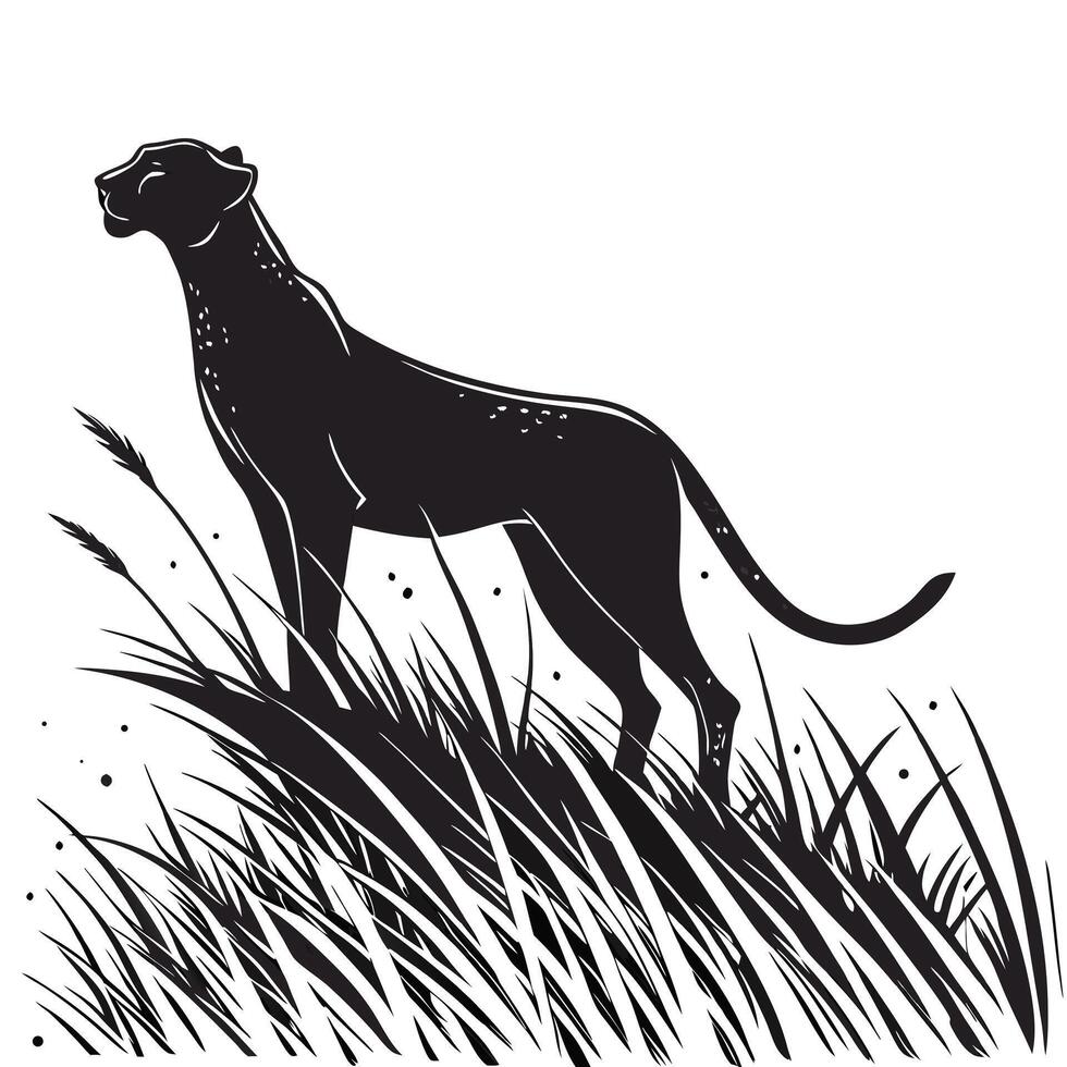 Elegant Panther Stalking In Tall Grass vector