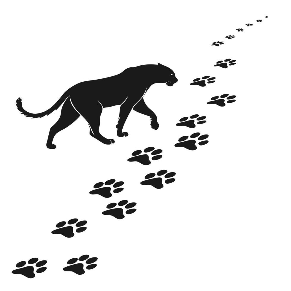 Panther Following Paw Prints Animal Tracking vector