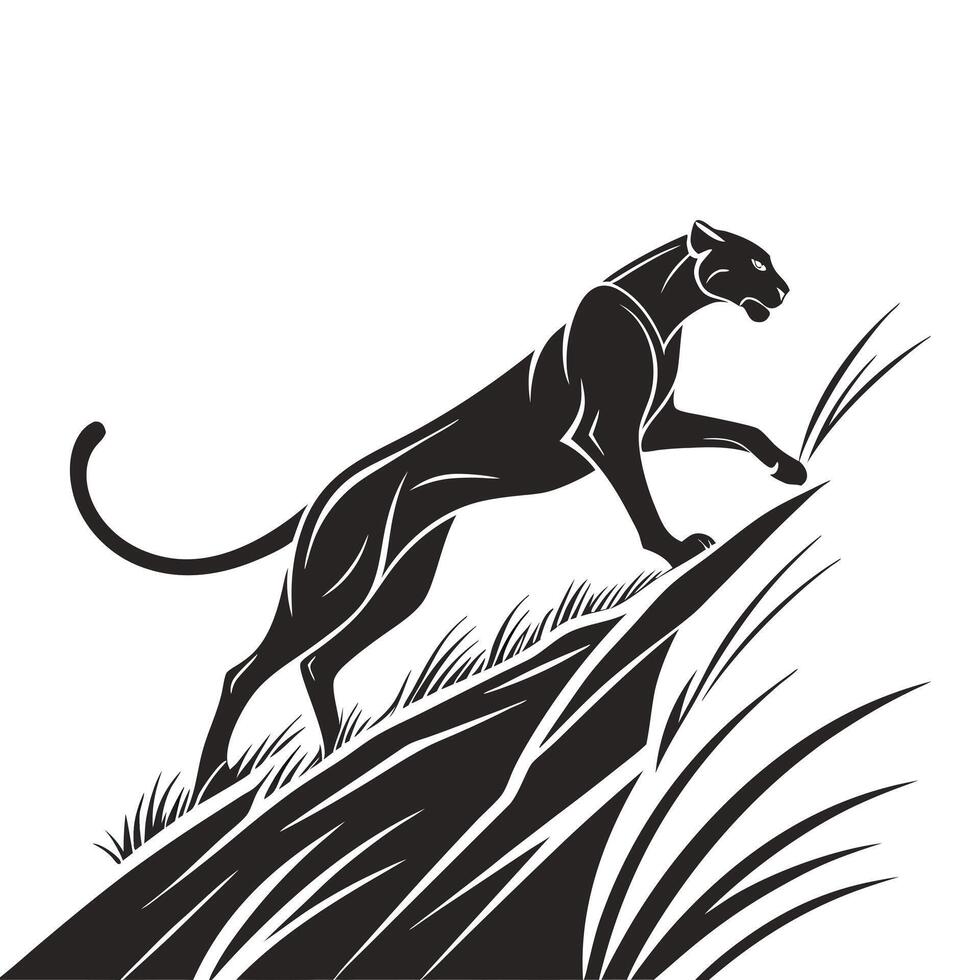 Panther Walking Through The Tall Grass vector