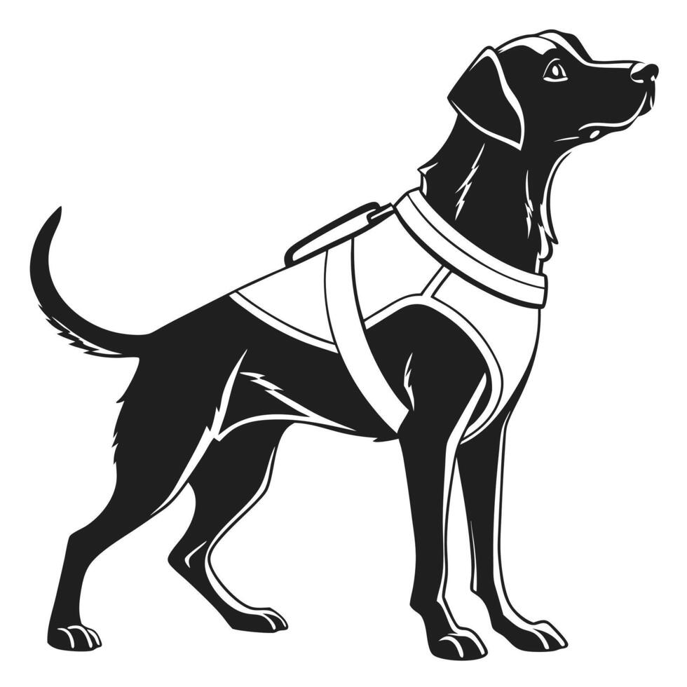 Service Dog Standing In Black And White vector
