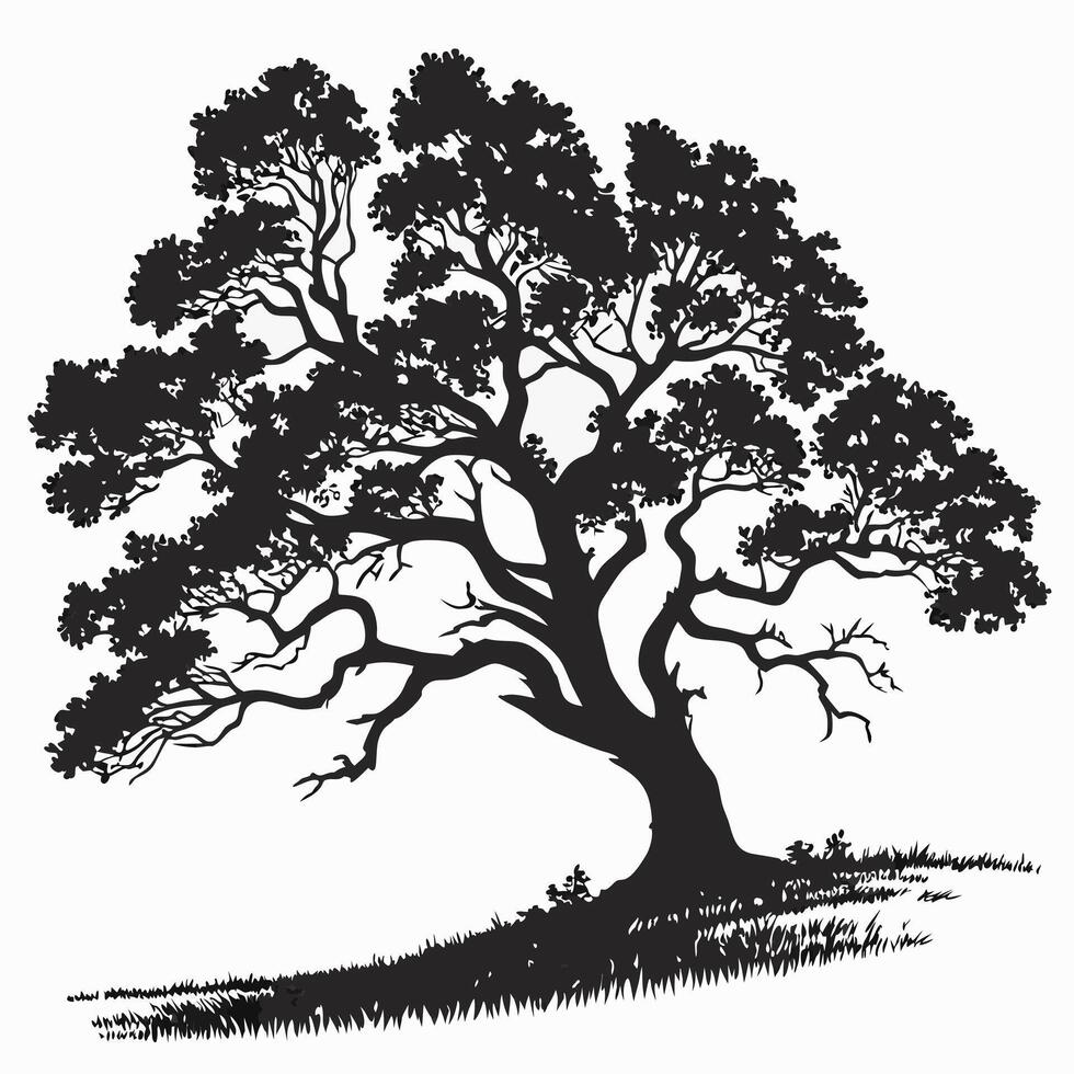 Silhouette Of A Mature Tree On Hill vector
