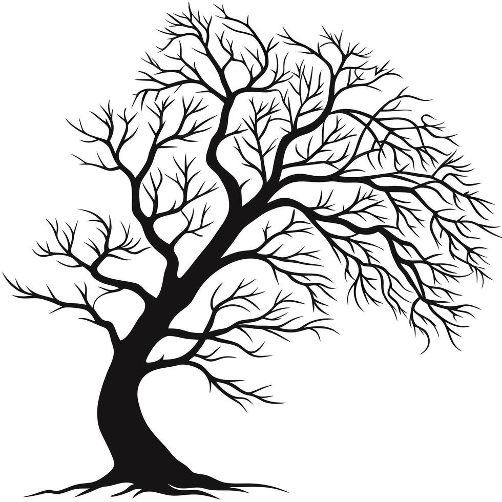 Silhouette Of Bare Tree On White vector