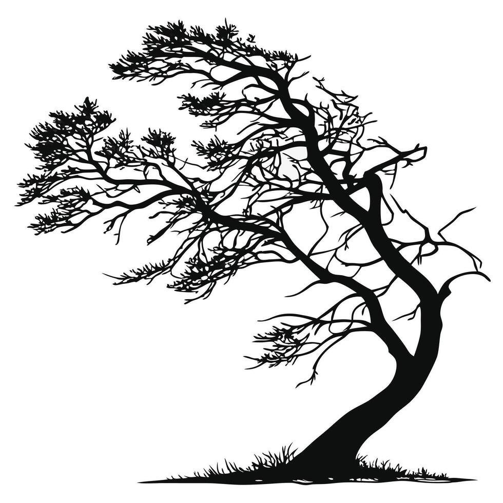 Silhouette Of Windswept Tree Isolated On White vector