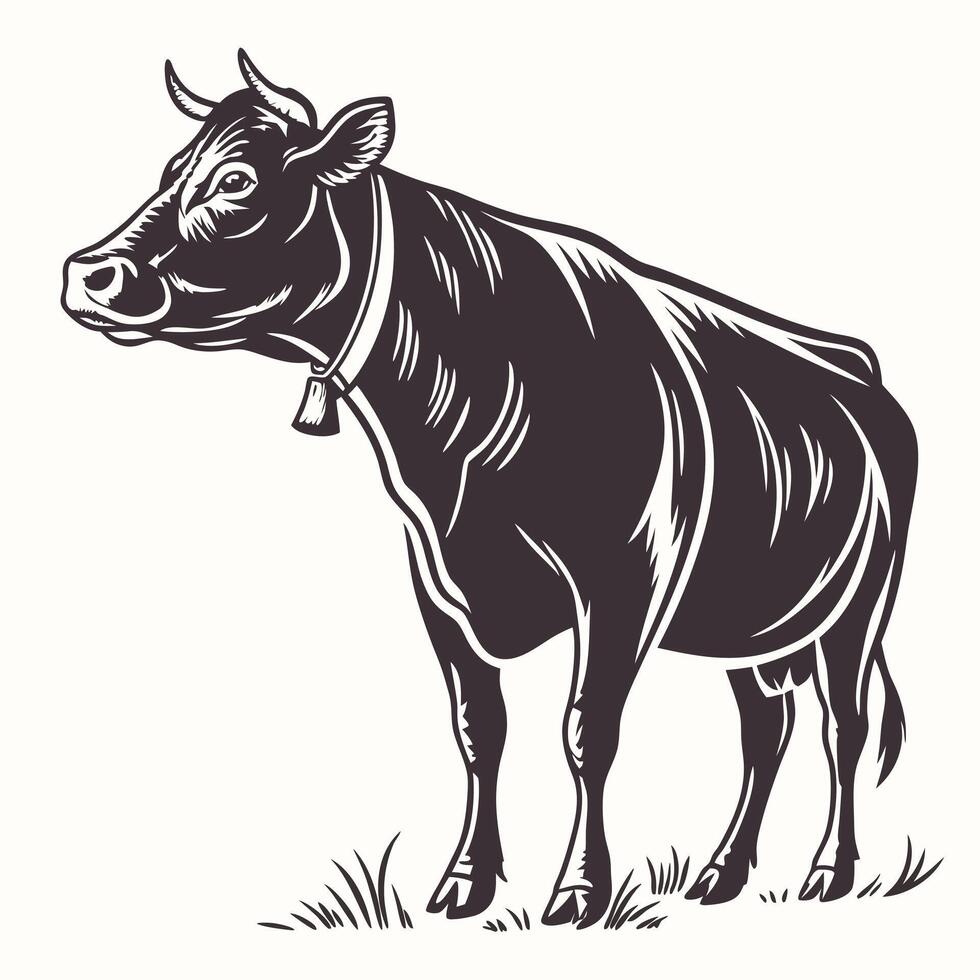 Illustration Of A Cow vector
