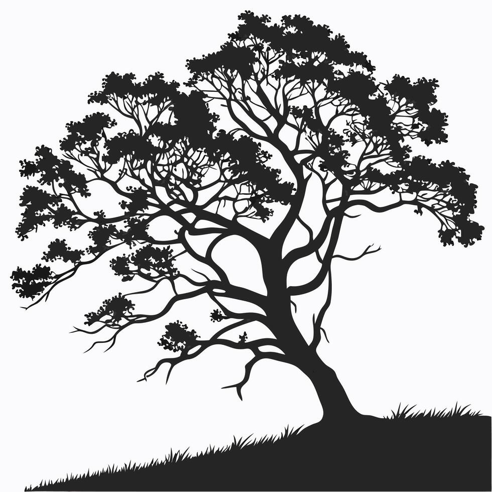 Tree Silhouette Isolated On White vector