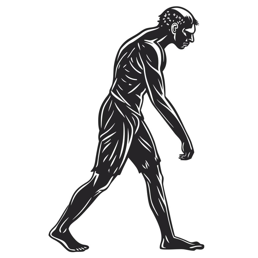 Artwork Of A Walking Man vector