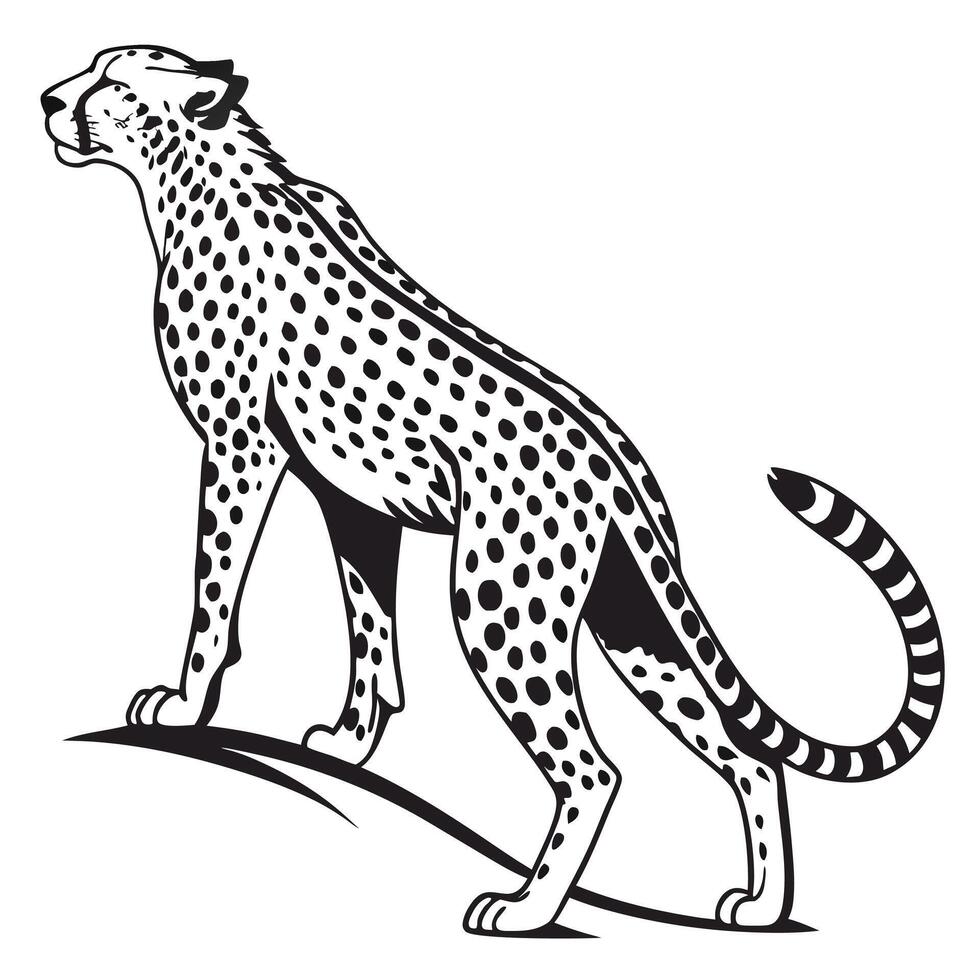 Illustration Of A Cheetah Illustration vector