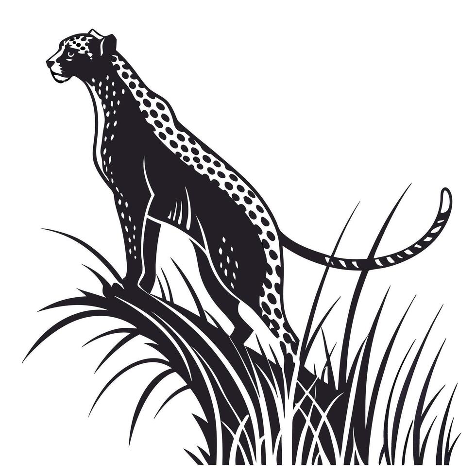 Illustration Of A Leopard vector