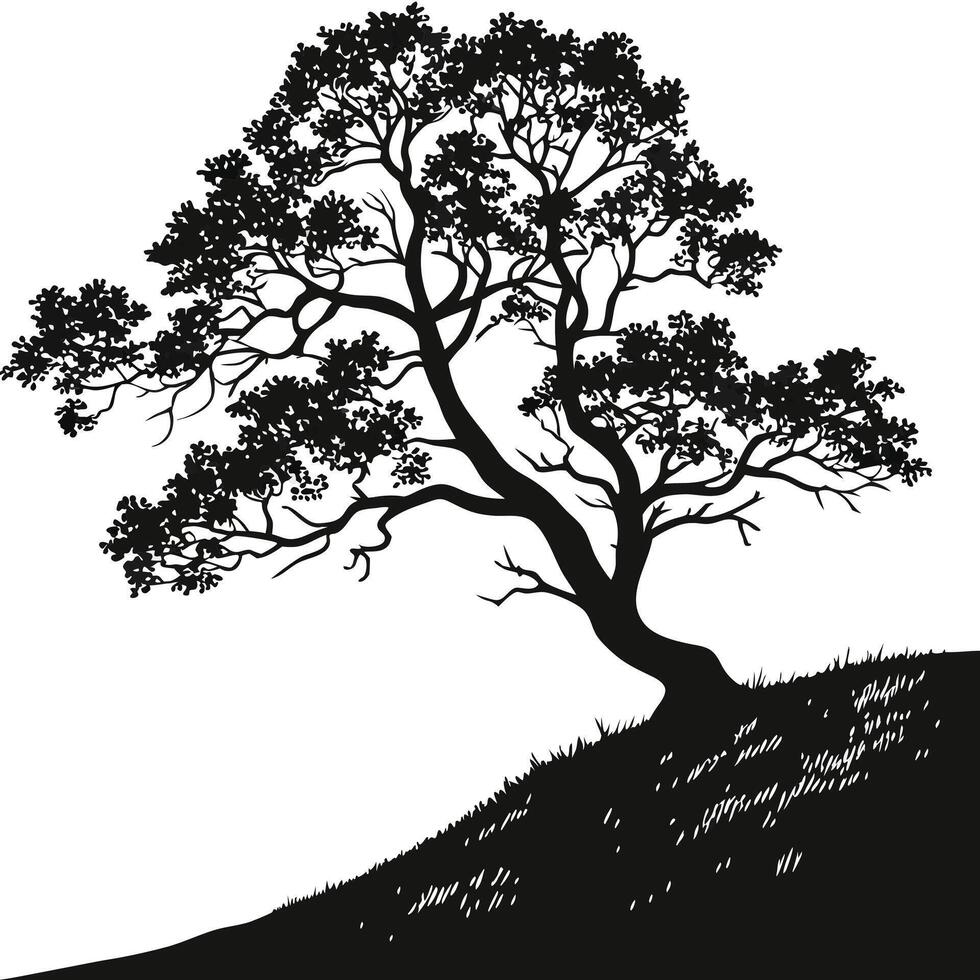 Black And White Tree Silhouette On White Background vector