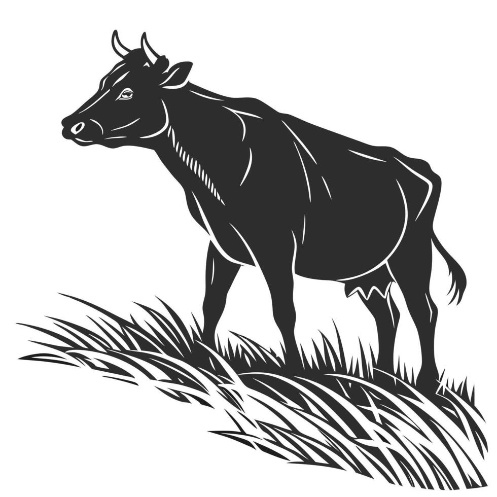 Black Cow Grazing In Grass vector