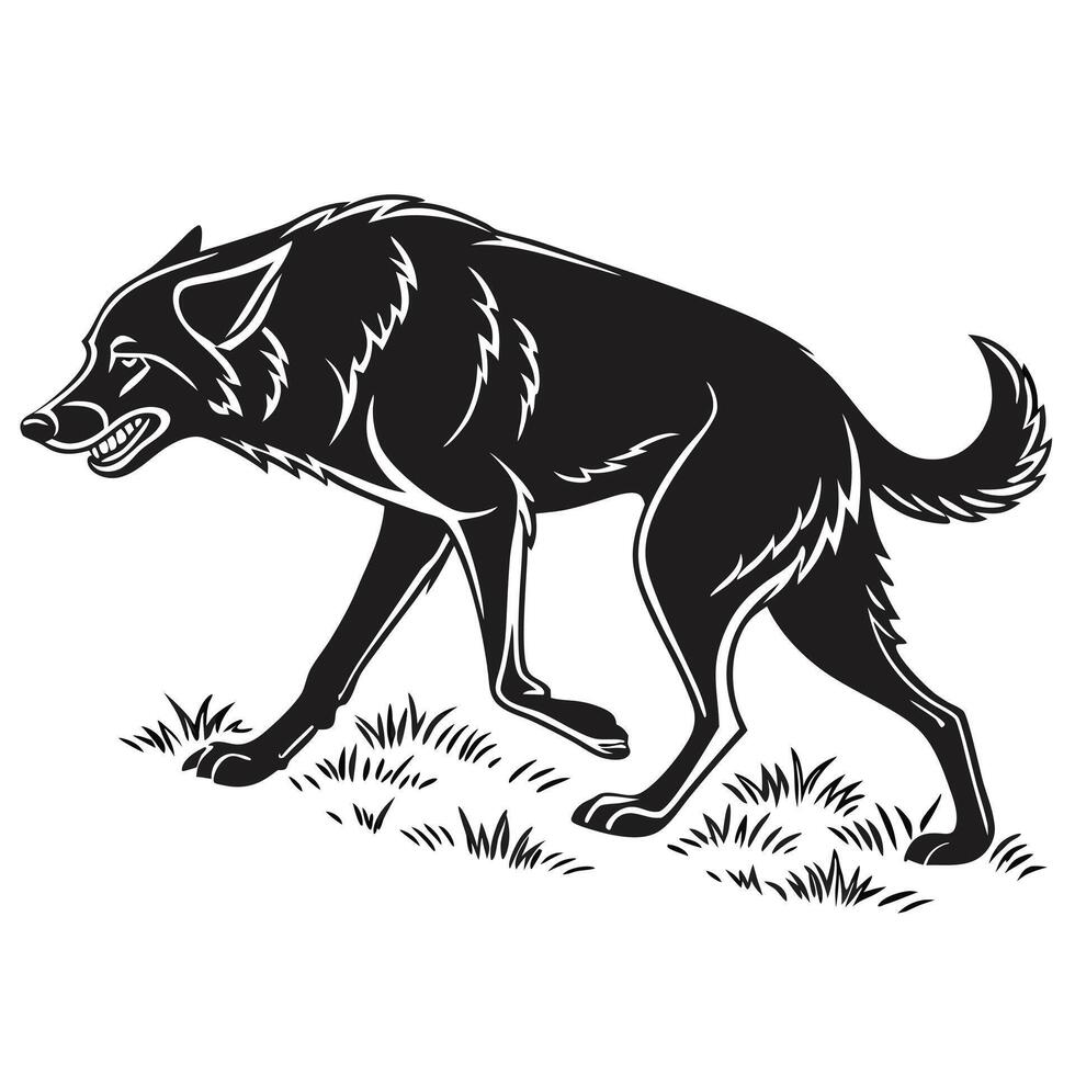 Black Wolf Stalking In Grass vector