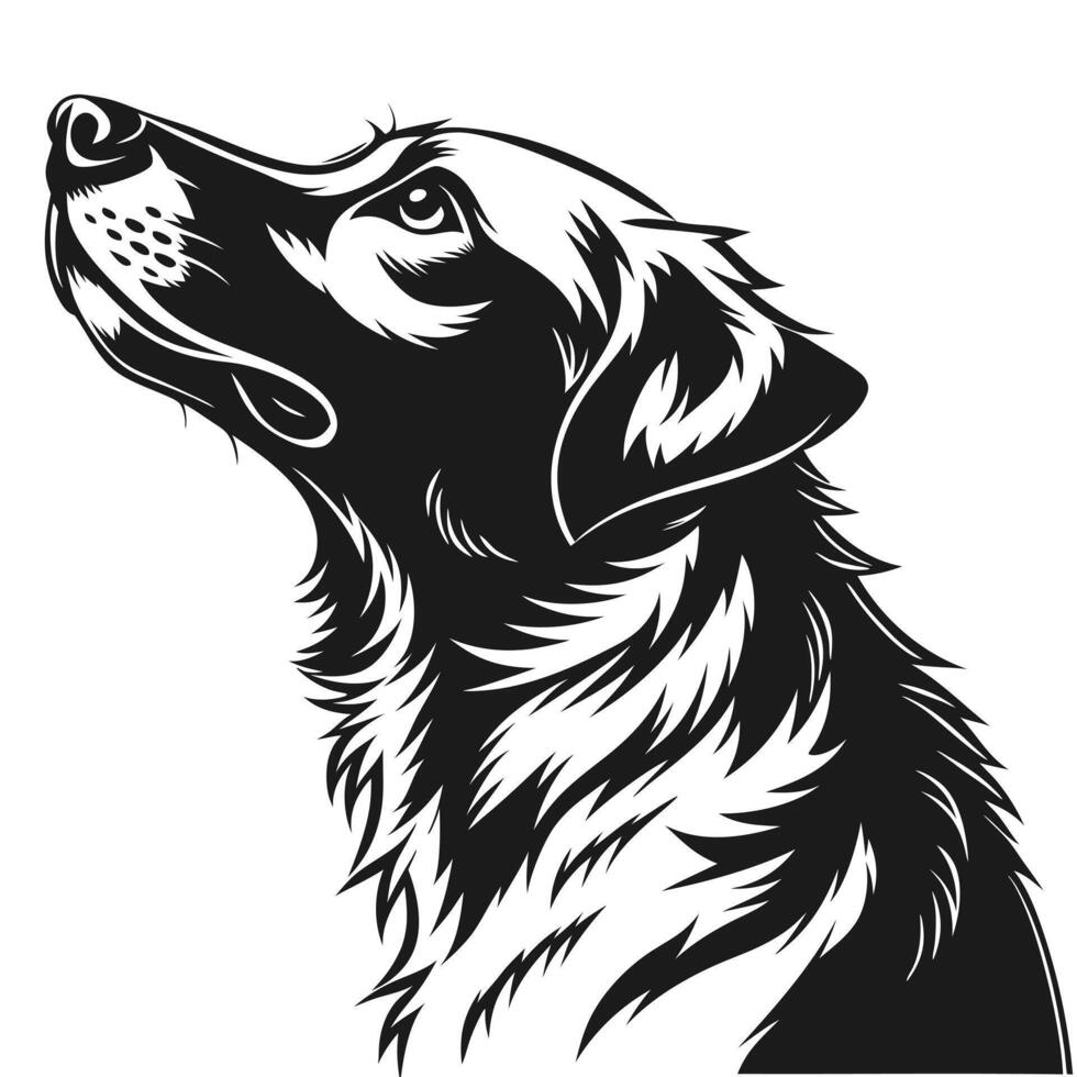 Dog Looking Up Black And White vector