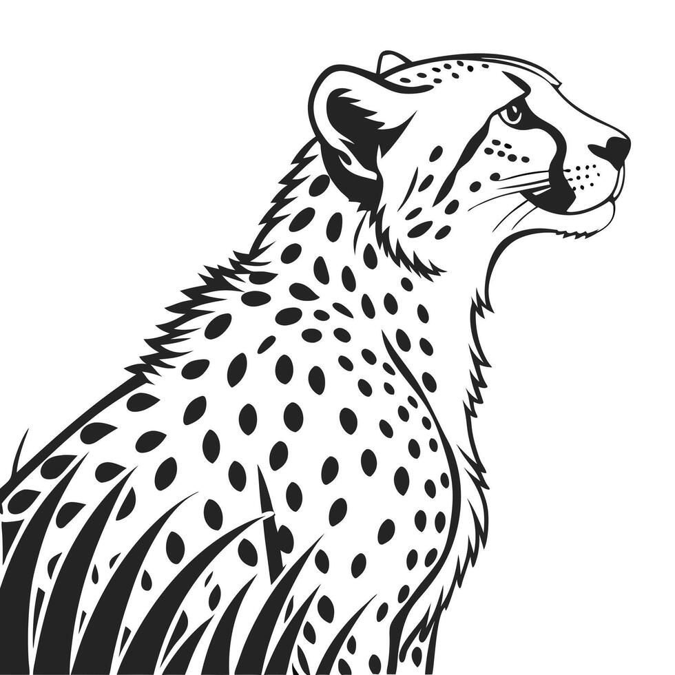 Elegant Cheetah Standing In Tall Grass vector