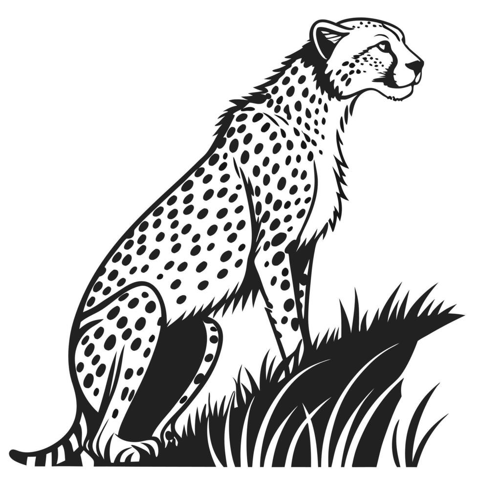 Cheetah Resting Black And White vector